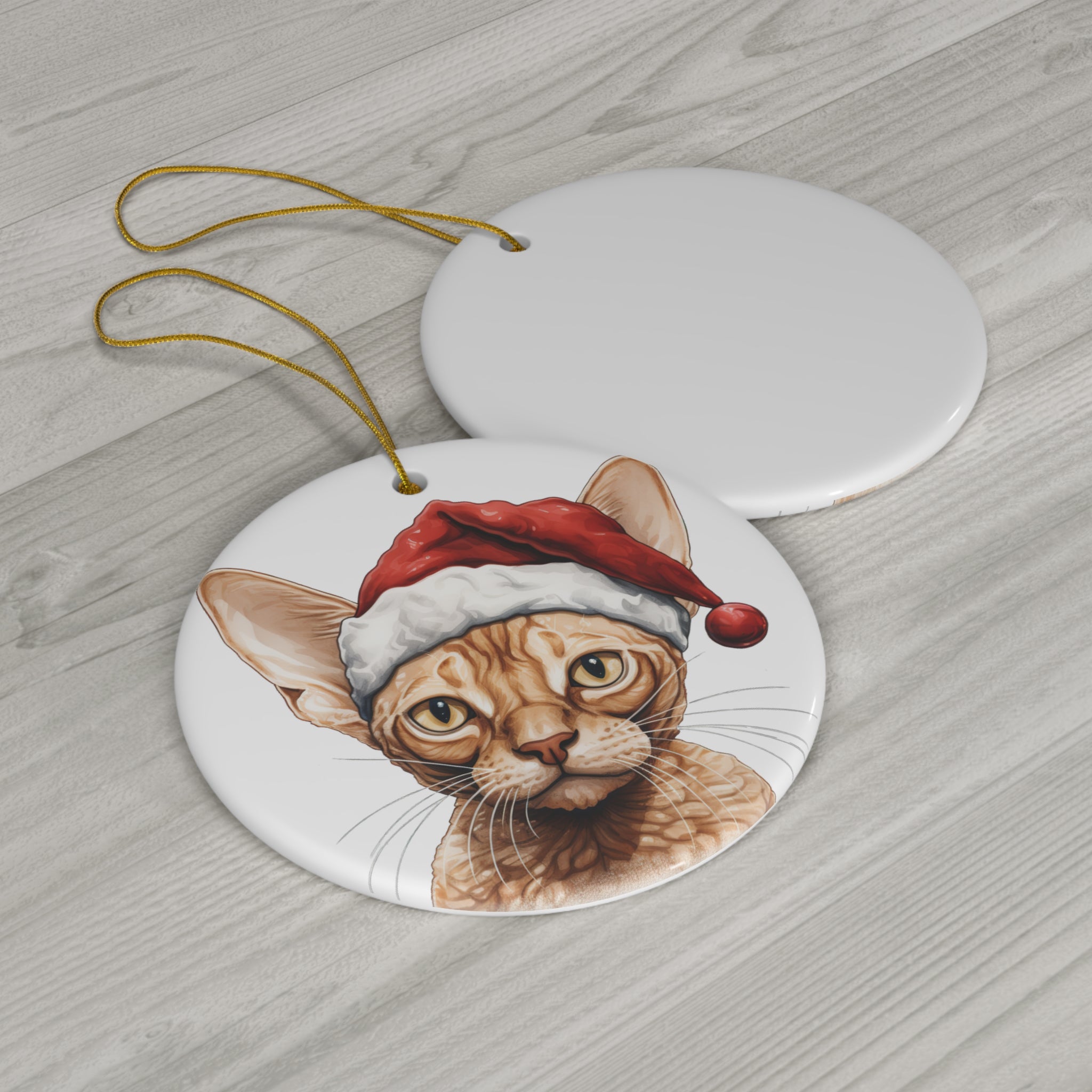 Ceramic Ornament - Devon Rex Kitten With Santa Hat      Item #9555148