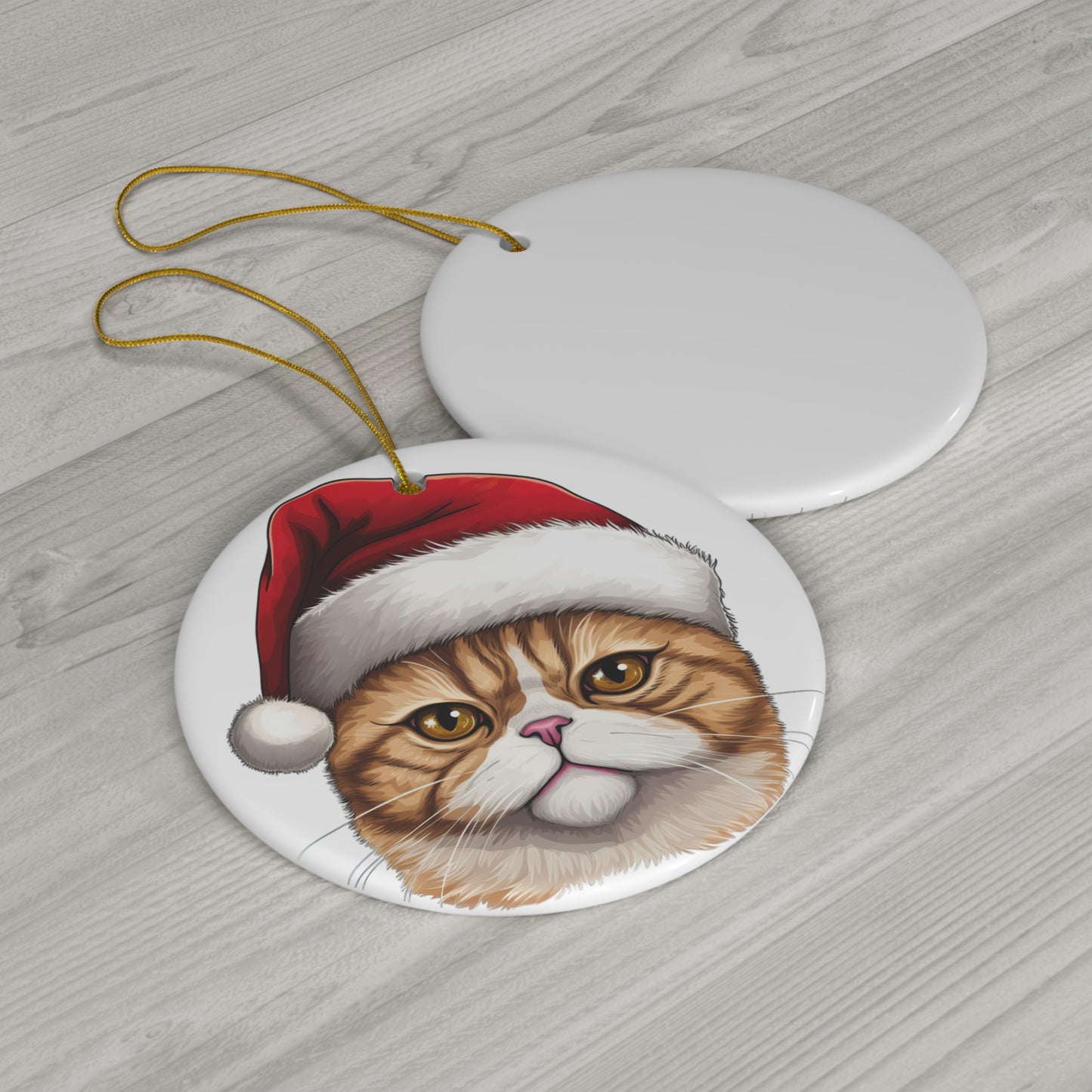 Exotic Shorthair Cat With Santa Hat Ceramic Ornament      Item #5616173