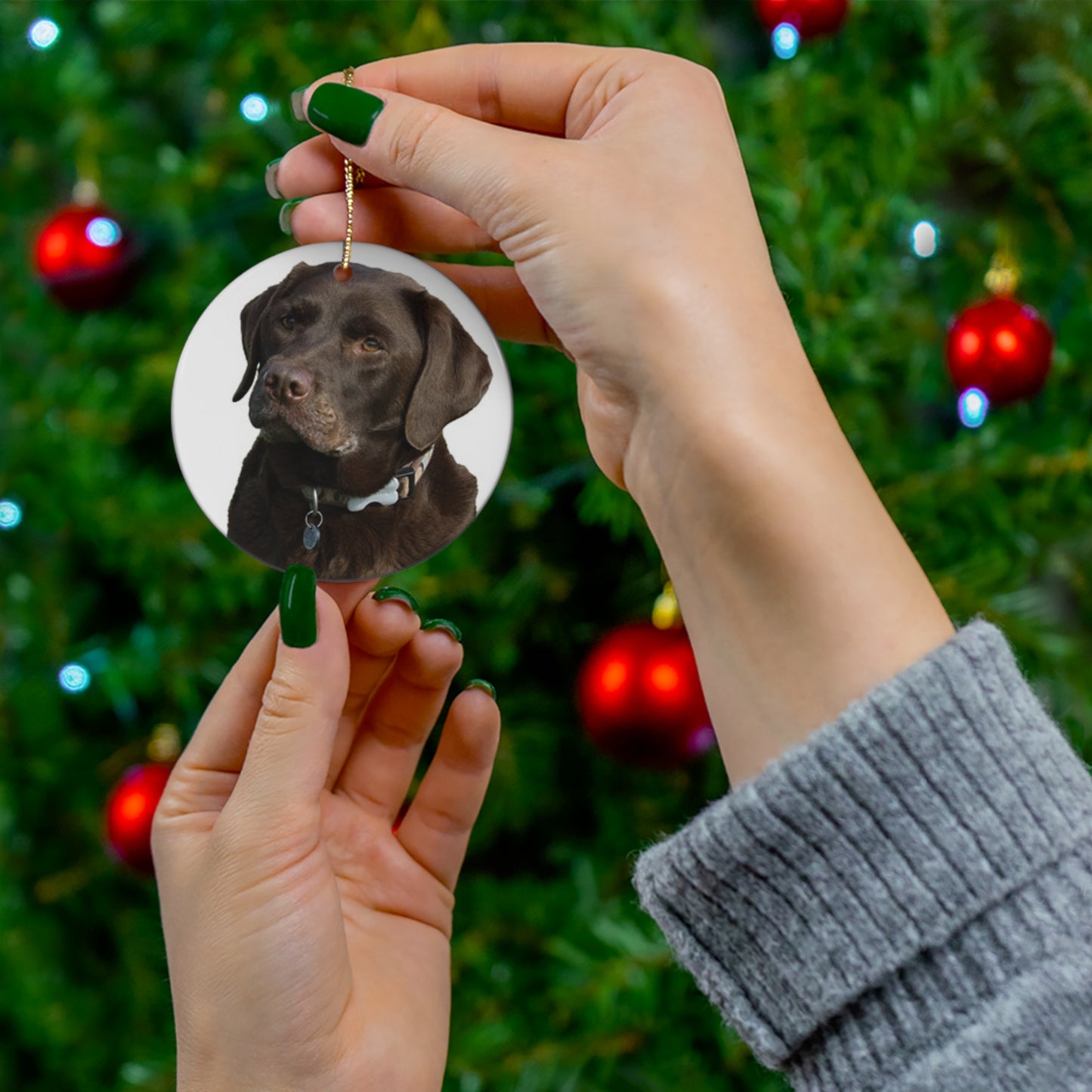 Labrador Retriever Ceramic Disc Ornament            Item #7683173