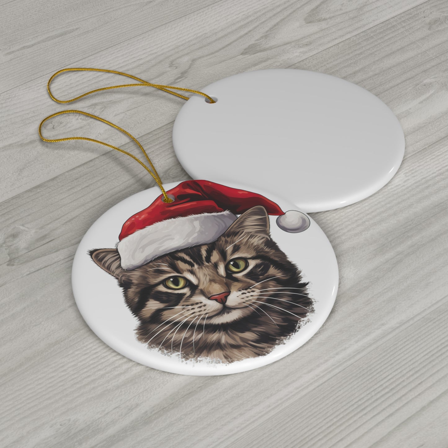 American WireHair Cat With Santa Hat      Item #7365301