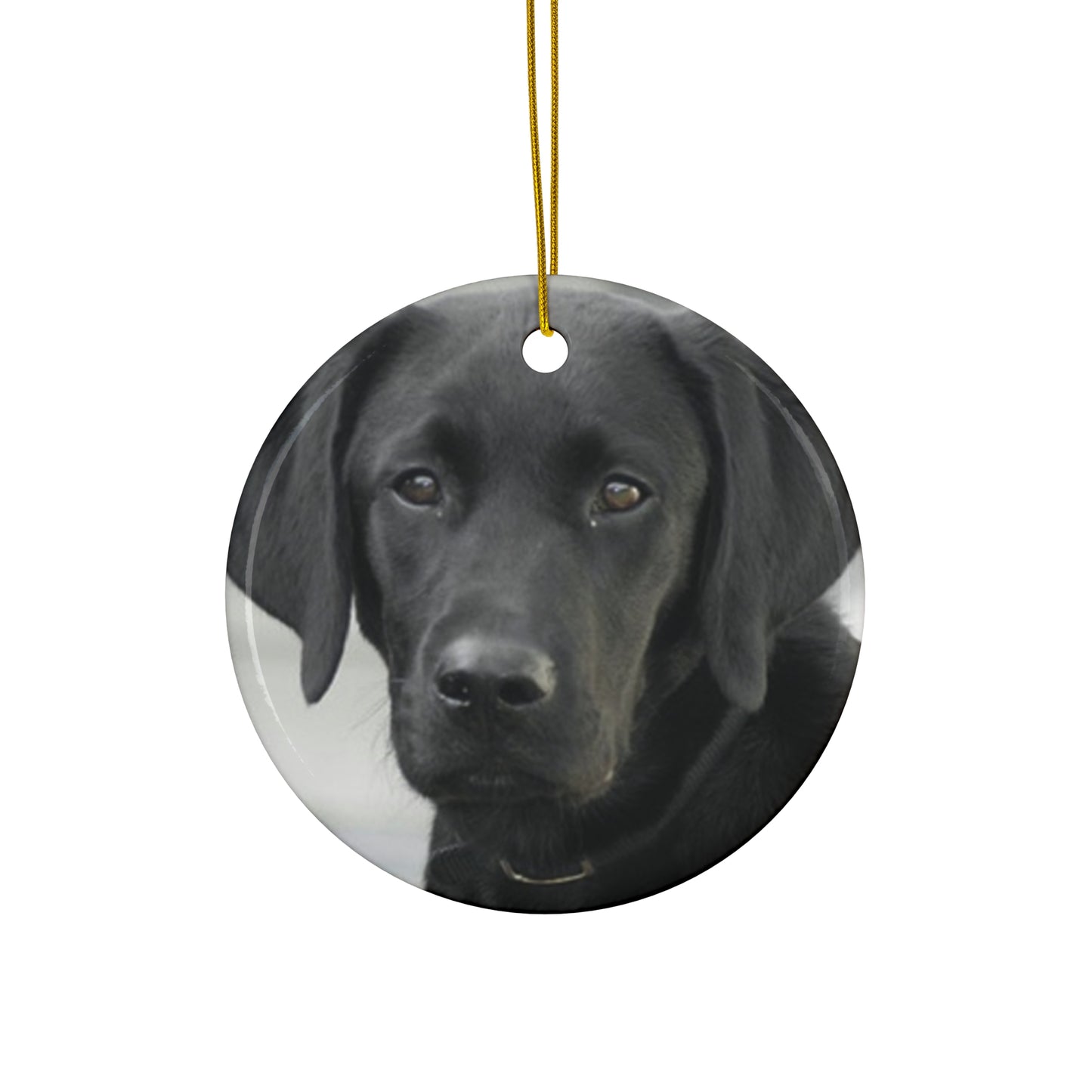 Labrador Retriever Ceramic Disc Ornament       Item #7297291