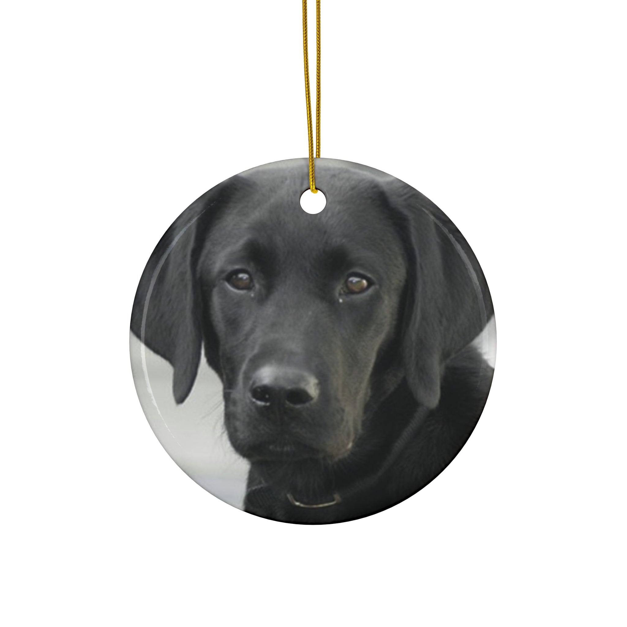 Labrador Retriever Ceramic Disc Ornament       Item #7297291 - Buckshot's Bargain Barn