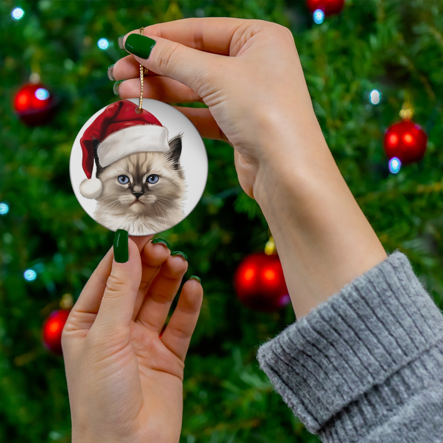 Ceramic Ornament - Ragdoll Kitten With Santa Hat      Item #6028738