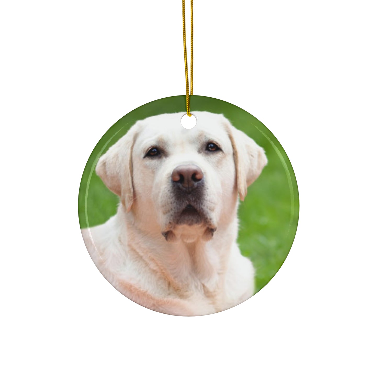 Labrador Retriever Ceramic Disc Ornament            Item #6934809