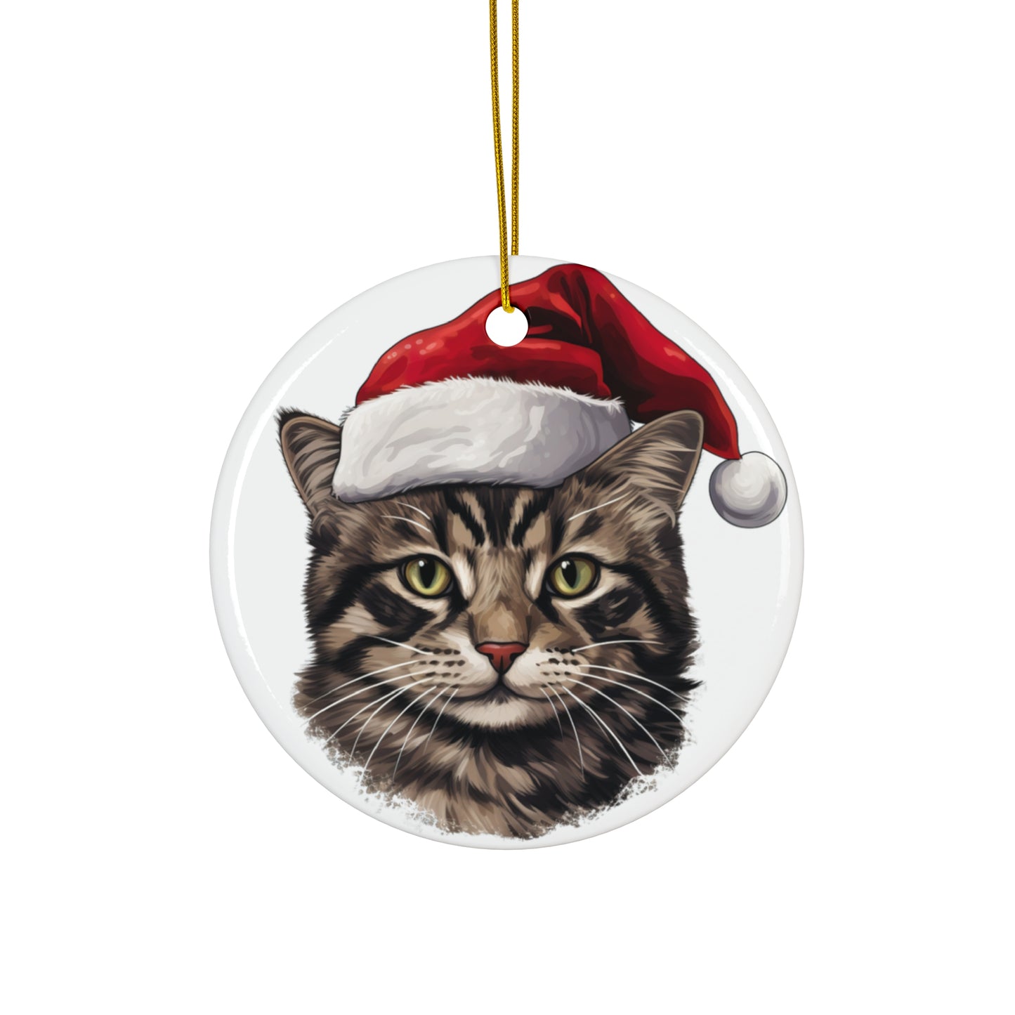 American WireHair Cat With Santa Hat      Item #7365301