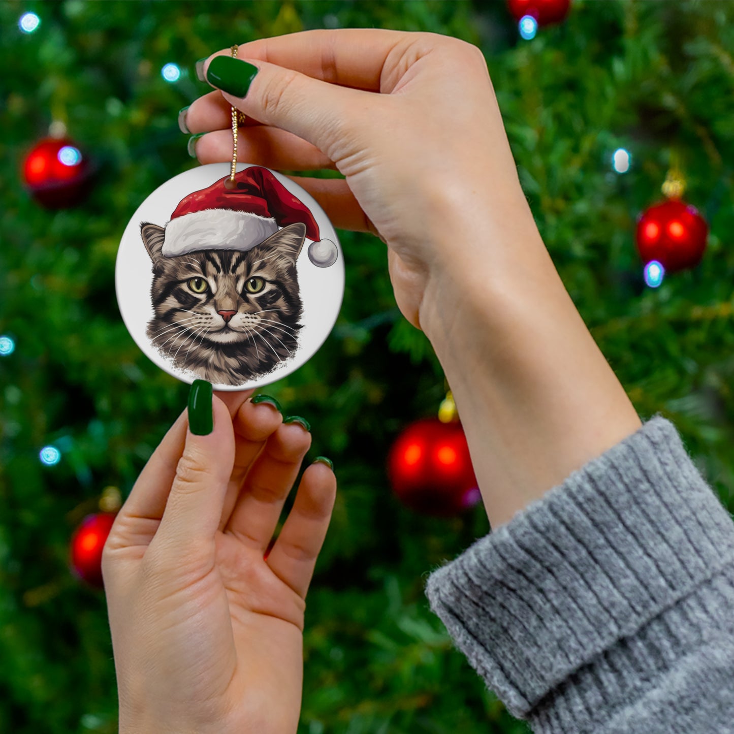 American WireHair Cat With Santa Hat      Item #7365301