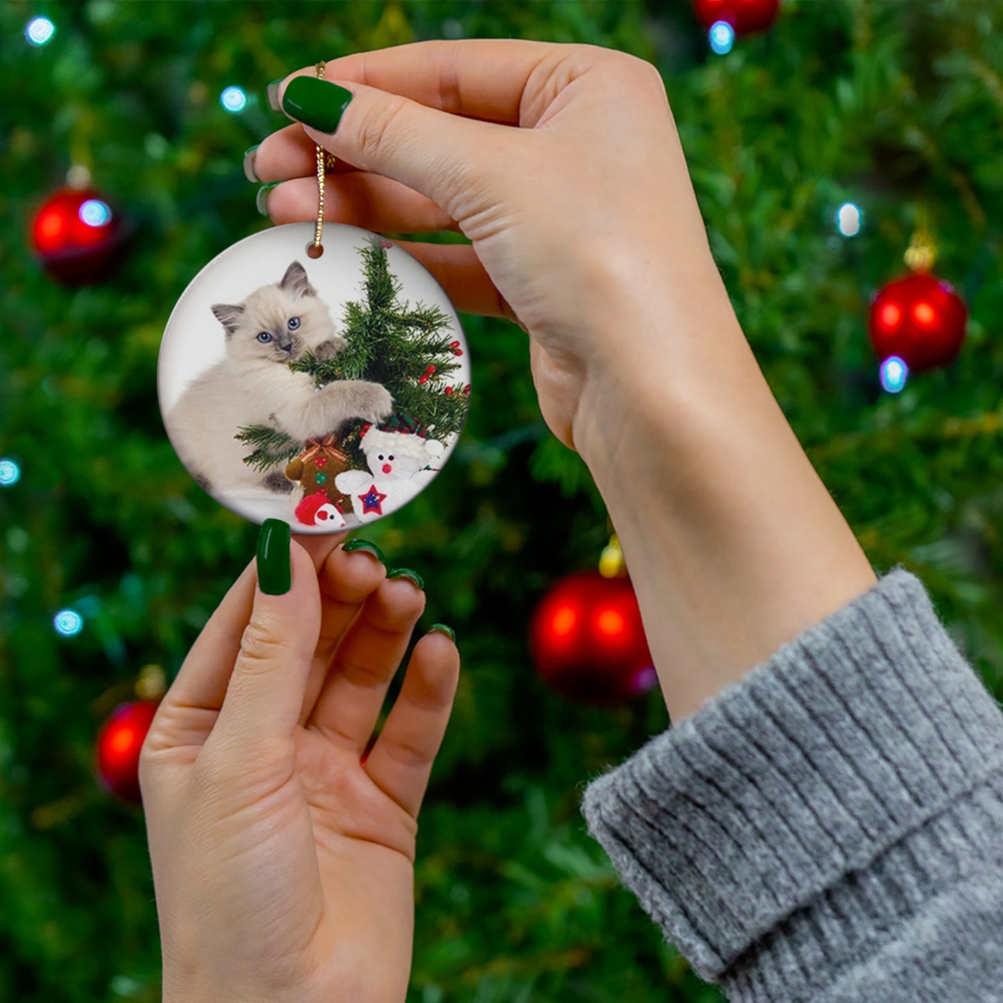 Christmas Cat Ceramic Disc Ornament        Item #3874538