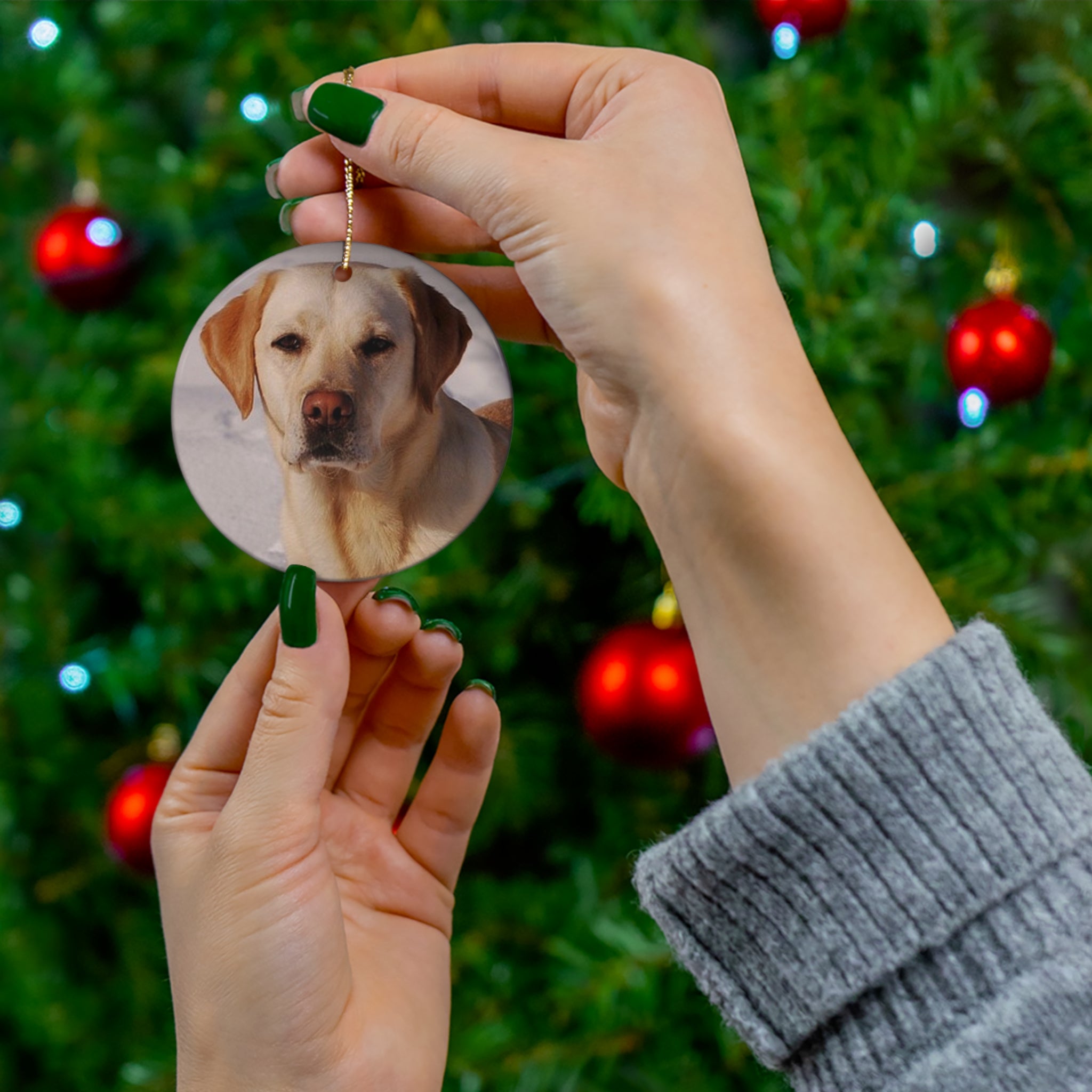 Labrador Retriever Ceramic Disc Ornament         Item #4711591 - Buckshot's Bargain Barn