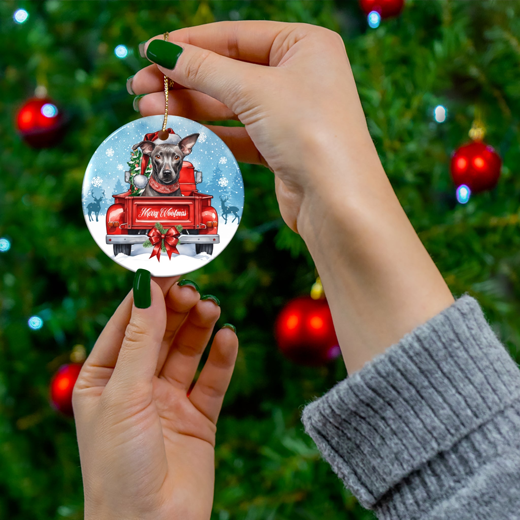 Christmas Xoloitzcuintli Mexican Hairless Dog In Truck Ceramic Disc Ornament        Item #7659172