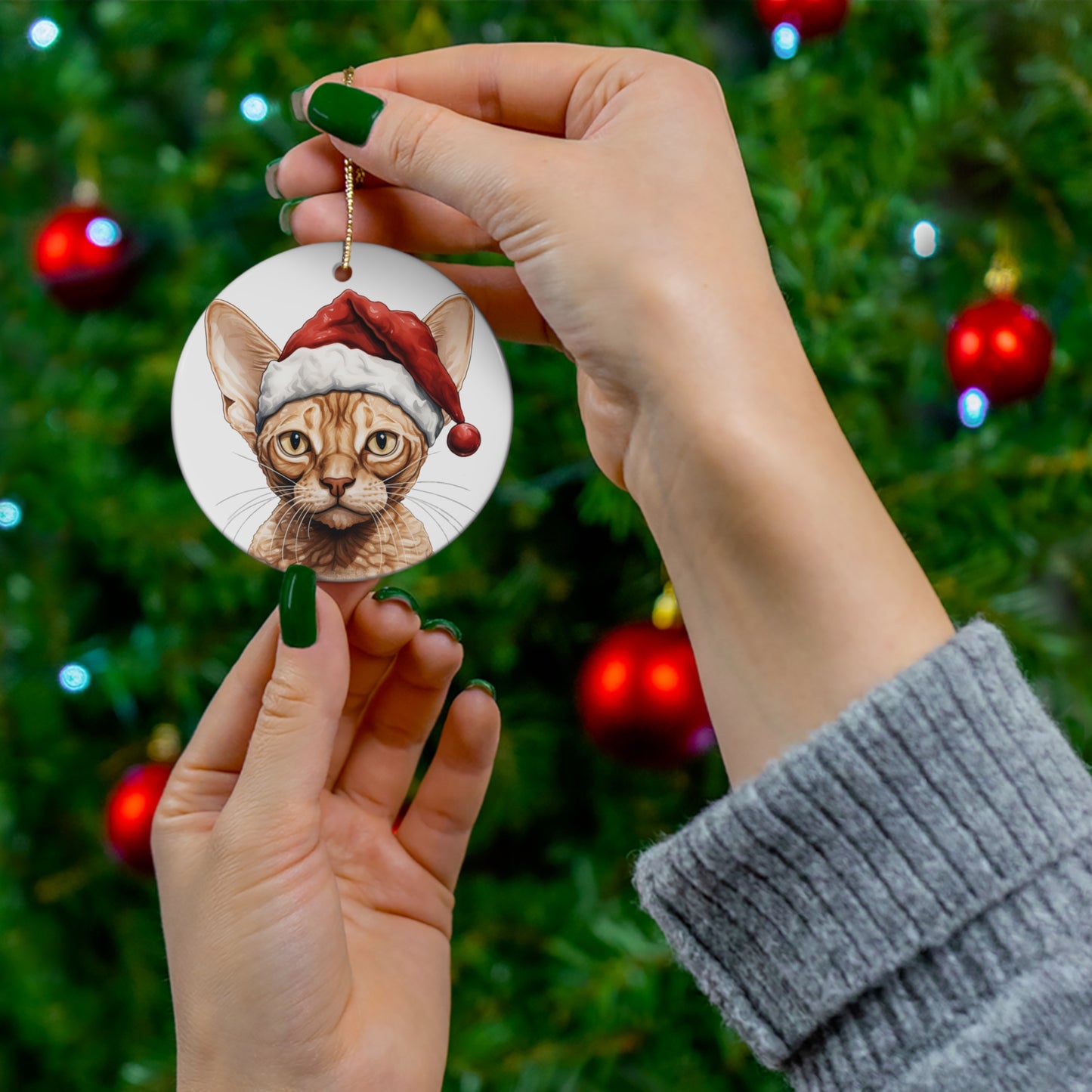 Ceramic Ornament - Devon Rex Kitten With Santa Hat      Item #9555148