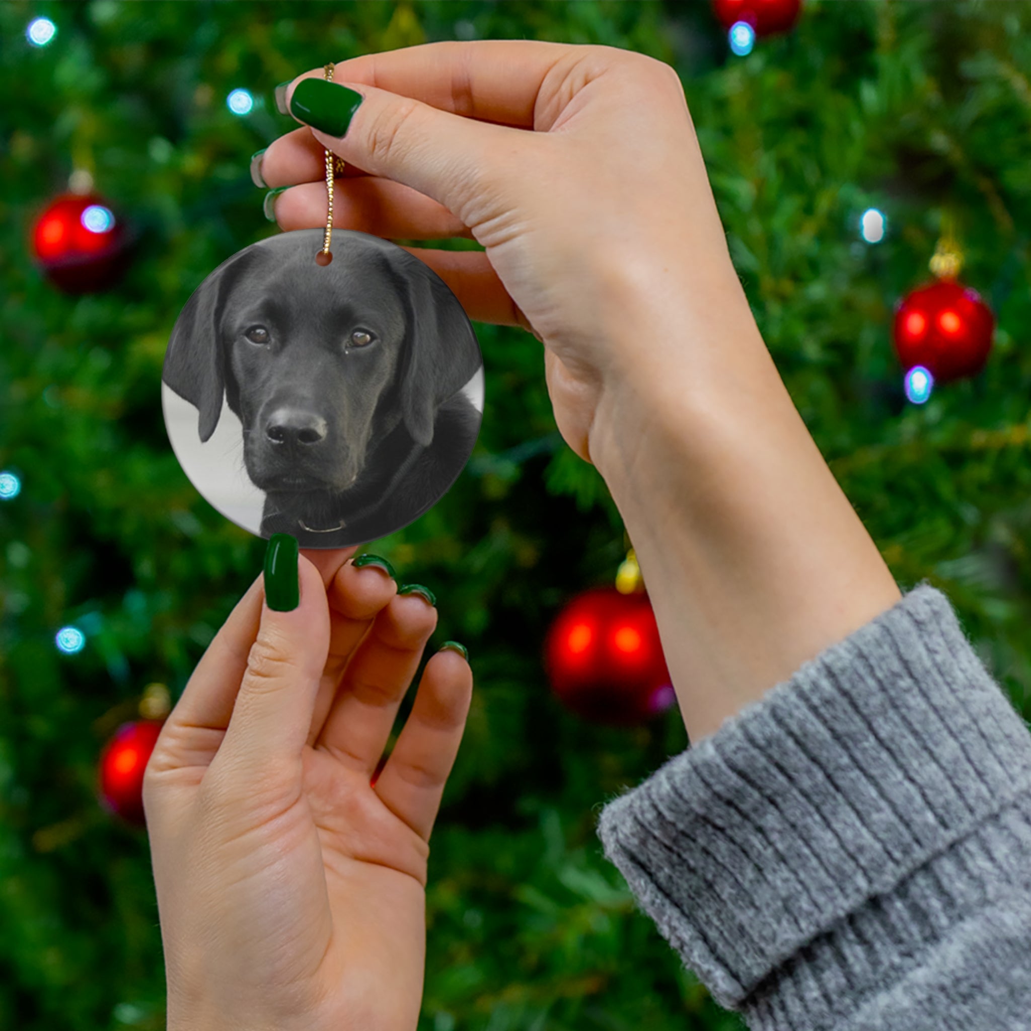 Labrador Retriever Ceramic Disc Ornament       Item #7297291 - Buckshot's Bargain Barn
